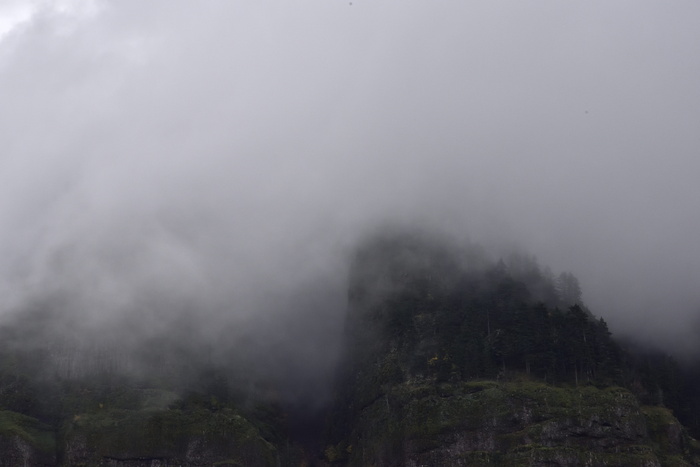 美国赫尔曼溪，俄勒冈州喀斯喀特洛克，pnw，树木，烟雾