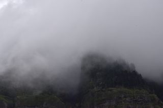 美国赫尔曼溪，俄勒冈州喀斯喀特洛克，pnw，树木，烟雾