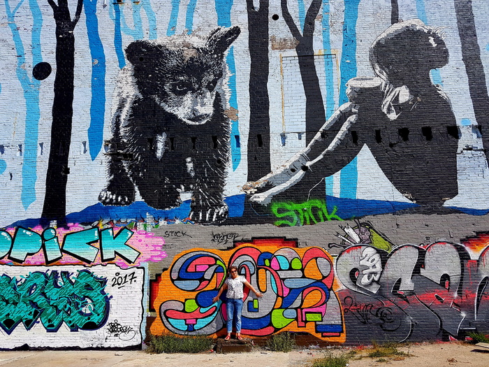 荷兰，奈梅根，honigcomplex，彩色，彩色，墙，朋友，视图