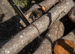 电锯, 锯, 工具, 权力, 切割, 树, 分支, 修剪