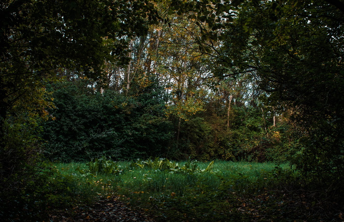 曼彻斯特, 英国, 简单, 探索, 旅行, 资源管理器, 自然, mcr