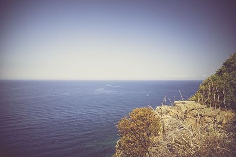 自然、景观、海岸、悬崖、岩石、草、植物、土壤 自然、景观、海岸、悬崖、岩石、草、植物、土壤