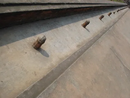 拉尔巴格堡,17世纪莫卧儿堡,达卡,动物主题,脊椎动物,野生动物,动物,野生动物 拉尔巴格堡,17世纪莫卧儿堡,达卡,动物主题,脊椎动物,野生动物,动物,野生动物