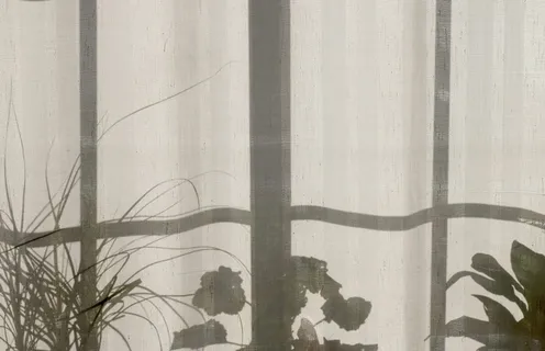 房子,家,植物,窗帘,窗户,阴影,植物,白天 房子,家,植物,窗帘,窗户,阴影,植物,白天