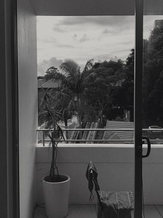 盆栽的灰度照片