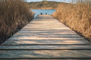 棕色木质船坞，长着棕色的草
