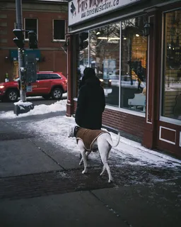 与成年大丹犬在人行道上行走的人