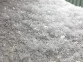 背景，全框架，无人，纹理，特写，选择性聚焦，白色，白天