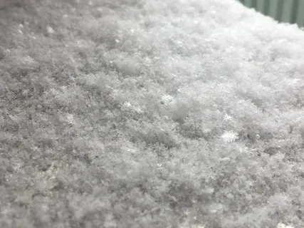 背景,全框架,无人,纹理,特写,选择性聚焦,白色,白天 背景,全框架,无人,纹理,特写,选择性聚焦,白色,白天