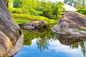 美丽，日光，环境，森林，草地，风景，草坪，树叶
