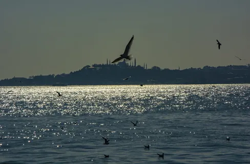 伊斯坦布尔, 海洋, 天空, 土耳其, 蓝色, 自然, 景观, 海滩