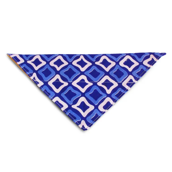 狗，头巾，宠物，美容，可爱，配饰，白色背景，图案