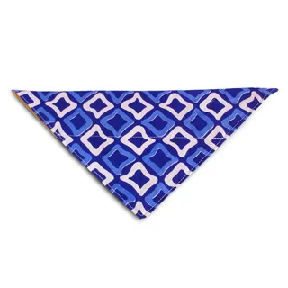 狗，头巾，宠物，美容，可爱，配饰，白色背景，图案