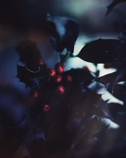 奥地利,wetzelsdorf in der weststeiermark,wetzelsdorfberg 66,心情,黑暗,圣诞节,秋天,秋天 奥地利,wetzelsdorf in der weststeiermark,wetzelsdorfberg 66,心情,黑暗,圣诞节,秋天,秋天