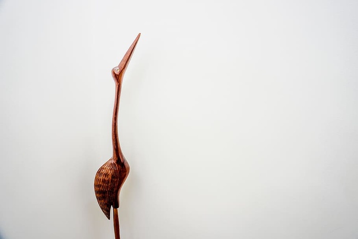 墨西哥、蒙特雷、动物、装饰、简约、家庭、旅行、白色