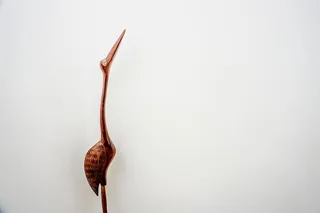 墨西哥、蒙特雷、动物、装饰、简约、家庭、旅行、白色