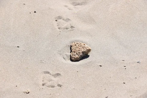 心,爱,沙滩,浪漫,海滩,陆地,没有人 心,爱,沙滩,浪漫,海滩,陆地,没有人