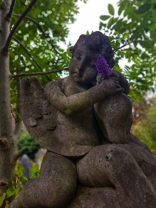 #天使#雕像#墓地，天使，艺术和工艺，雕塑，雕像，人类代表，植物，代表