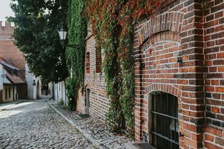 藤蔓覆盖的旧建筑