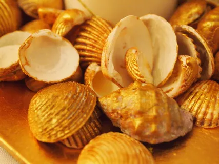 贝壳,装饰,蛤蜊,蛤蜊,食品和饮料,食品,新鲜度,特写 贝壳,装饰,蛤蜊,蛤蜊,食品和饮料,食品,新鲜度,特写