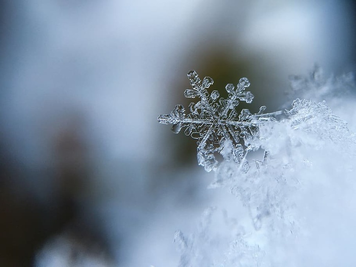 雪花，雪花，水晶，雪花水晶，寒冷，宏观，冬天，雪花