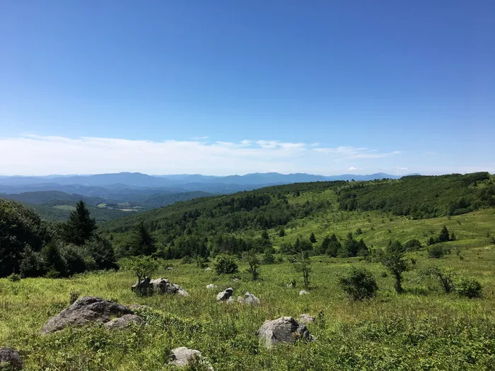 格雷森高地，弗吉尼亚州，草地，植物，自然之美，风景-自然，天空，树木