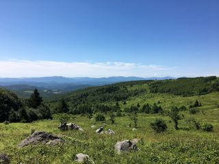 格雷森高地，弗吉尼亚州，草地，植物，自然之美，风景-自然，天空，树木