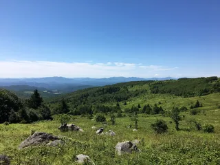 格雷森高地，弗吉尼亚州，草地，植物，自然之美，风景-自然，天空，树木