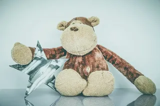 节日、质地、动物、倒影、孩子、圣诞节、装饰、乐趣