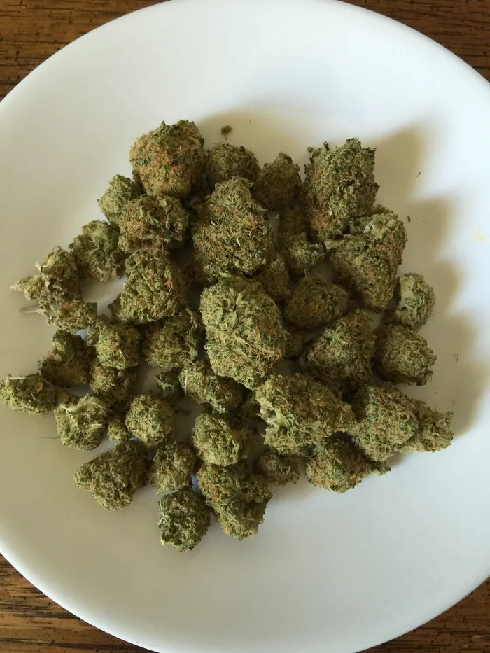 大麻，大麻，杂草，药物，大麻，药物，植物，医疗