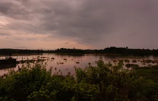 沼泽，sunet，金色，反射，云，云形成，天空，云天