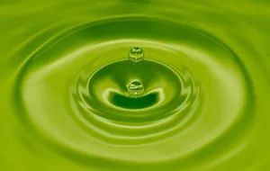 水滴的特写照片