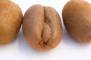 猕猴桃，水果，维生素，健康，食品，猕猴桃，水果，健康，食品，食品和饮料