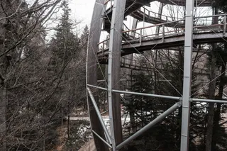 建设, 植物, 树, 建筑, 建筑, 德国, 生态, 生态