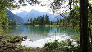 bergsee，almsee，奥地利，心情，树，水，植物，山