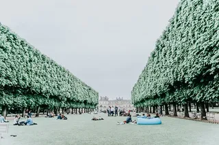 法国，巴黎，树木，花园，公园，野餐，人群，天空