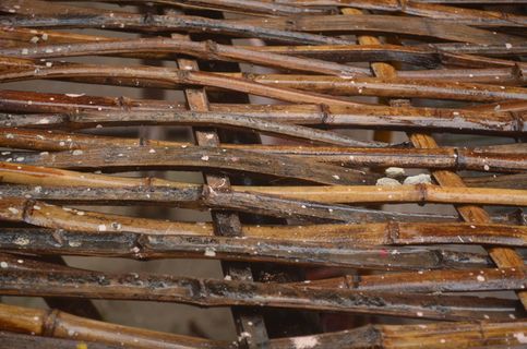 竹，格子，材料，结构，图案，编织，藤，工艺品