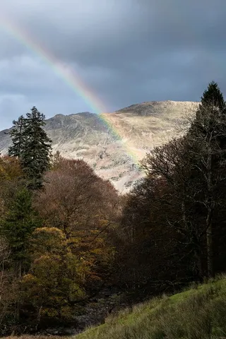 英国，帕特代尔，树木，森林，丘陵，秋天，秋天的颜色，彩虹