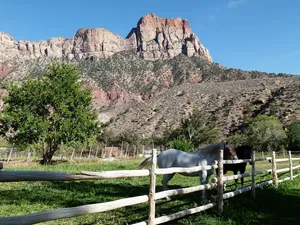锡安国家公园，犹他州，美国，旅游景点，山脉，岩石，景观，风景