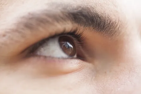 眼睛，宏，概述，浏览，睫毛，男性，关闭，棕色