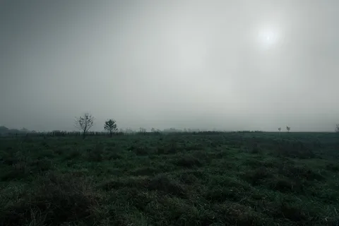 田地、覆盖物、云、沼泽、沼地、平坦、景观、潮湿