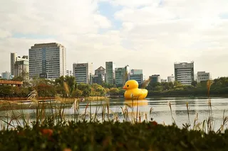 橡胶鸭、天空、河流、鸭子、景观、自然、建筑、建筑外观