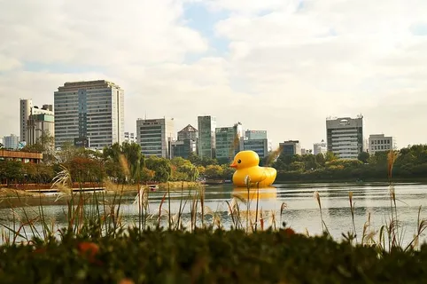 橡胶鸭、天空、河流、鸭子、景观、自然、建筑、建筑外观 橡胶鸭、天空、河流、鸭子、景观、自然、建筑、建筑外观