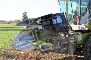 收获机claas霸主98 sl，前端，玉米收获，设备，农业，机械，农业，自然