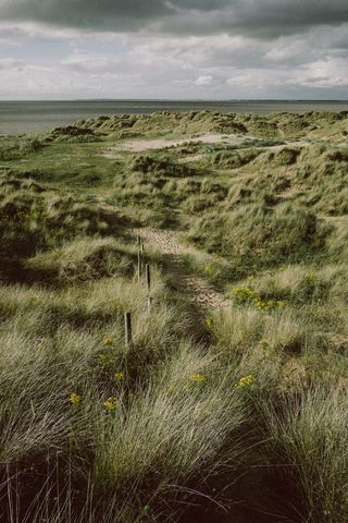 白天多云天空下的草地