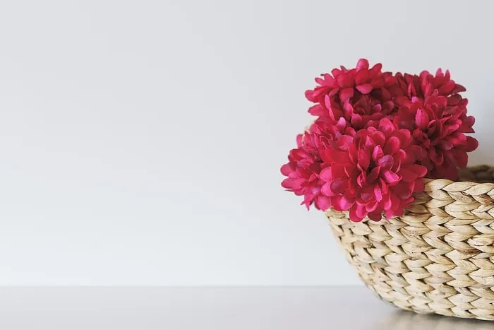 红色，花朵，花瓣，花篮，开花植物，植物，自然之美，新鲜