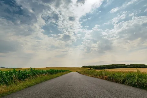 天空,景观,收获,粮食,黄金,天空,景观,农场,谷物 天空,景观,收获,粮食,黄金,天空,景观,农场,谷物