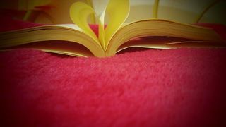 出版、书籍、教育、页面、学习、开放、论文、阅读