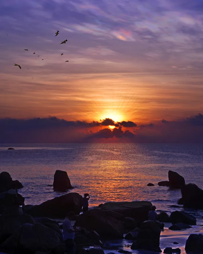 海边的日落