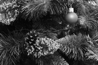 圆锥体，圣诞节，树苗，装饰品，圣诞装饰，庆祝，节日，圣诞装饰品